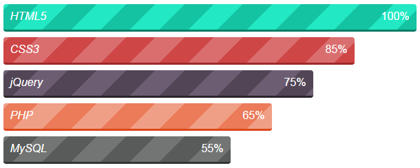 css3-skill-progress-bar