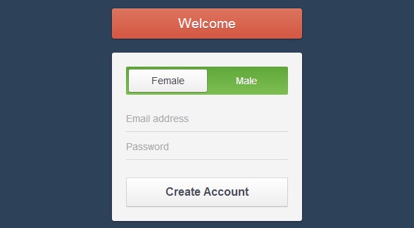 css3-register-form