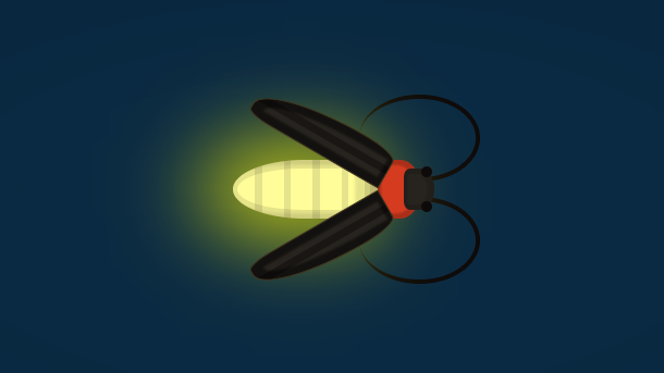 css3-firefly